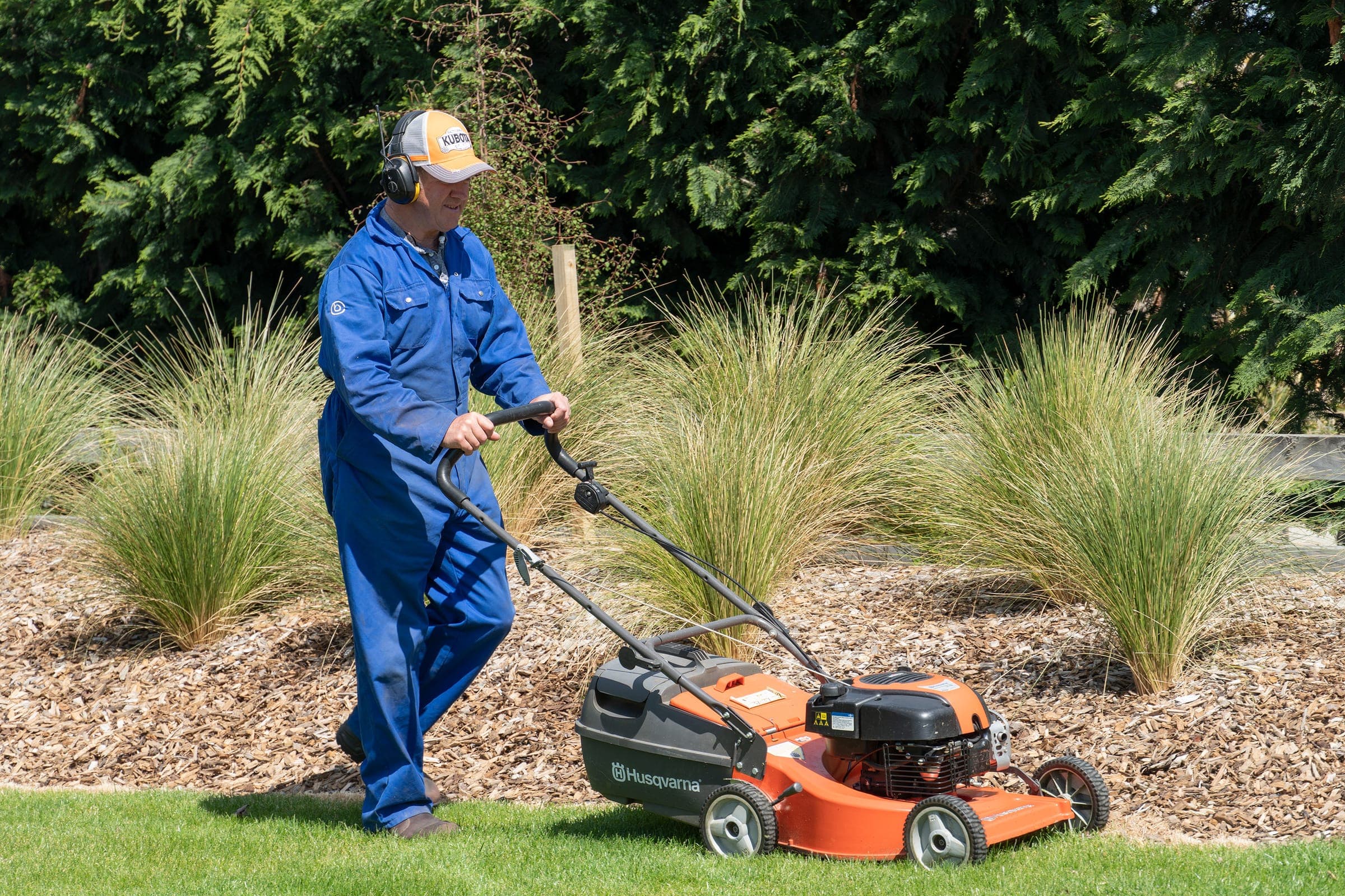 Murray Smith mowing a lawn beside a bed of native grasses